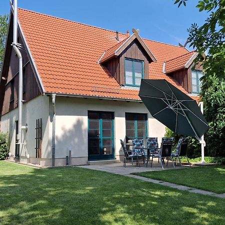 Villa Ferienhaus Hase Burg  Exterior foto