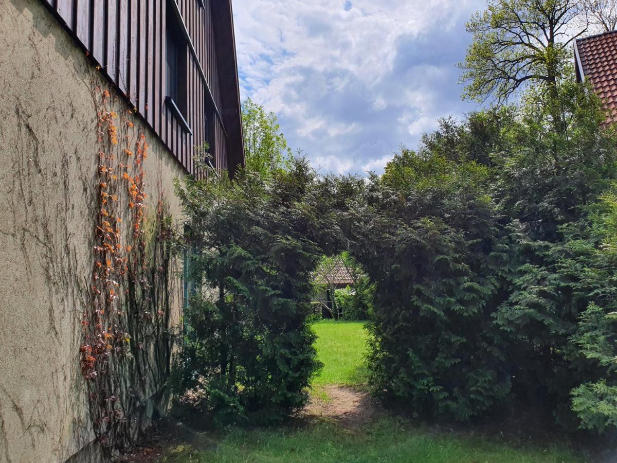 Villa Ferienhaus Hase Burg  Exterior foto